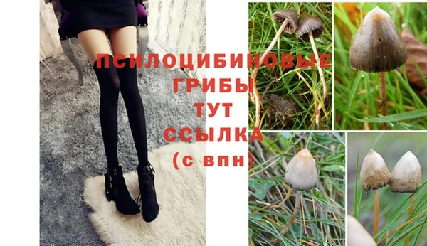 круглые Армянск