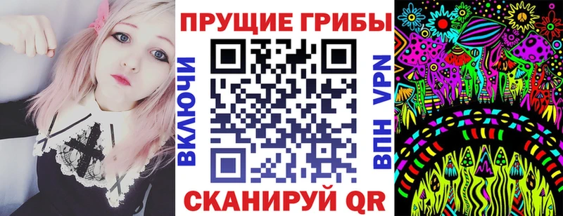 Галлюциногенные грибы Psilocybe  Белово 